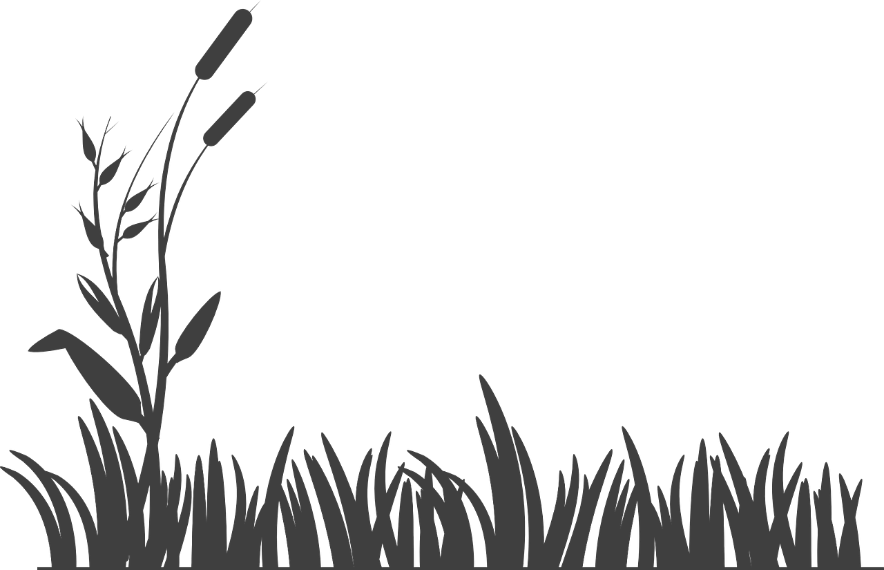 Agrigm Technologies Co. Ltd