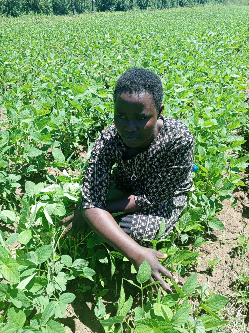 Agrigm%20Technologies%20Co
