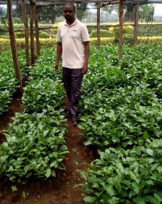 Agrigm%20Technologies%20Co
