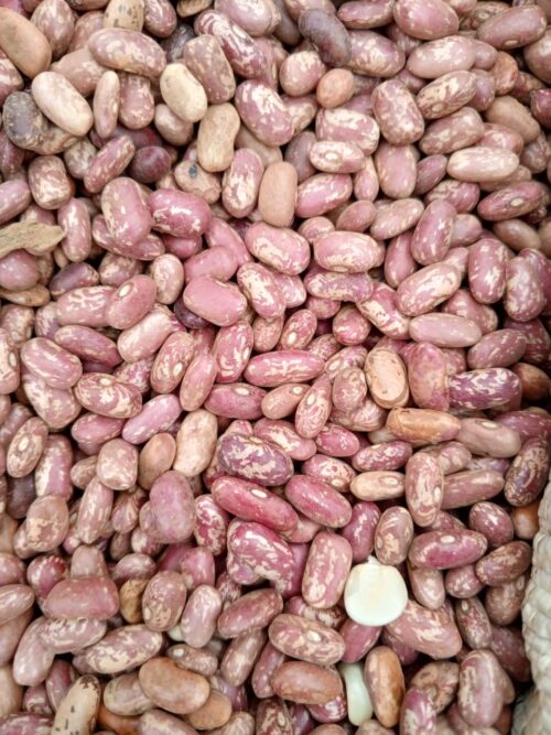 Beans