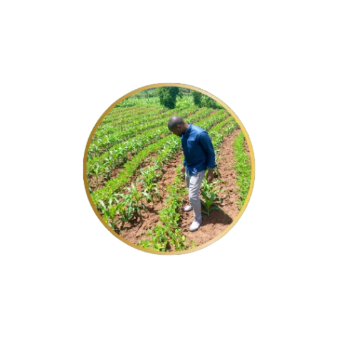 Agrigm%20Technologies%20Co