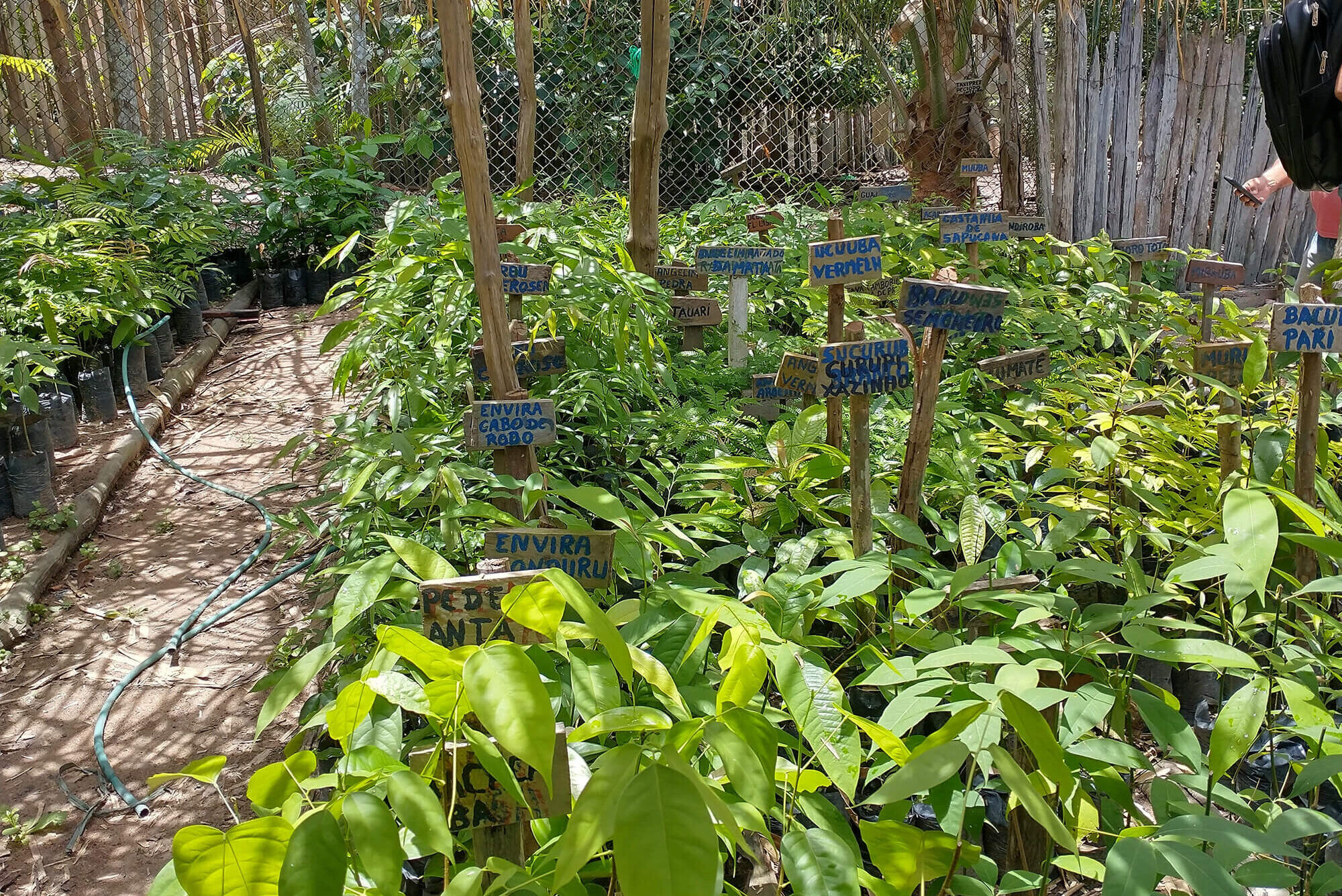Agrigm%20Technologies%20Co