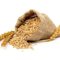 Class Wheats