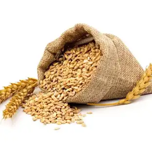 Agrigm Technologies Co. Ltd