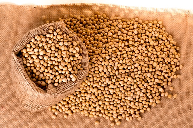 Agrigm%20Technologies%20Co
