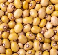 Yellow Beans