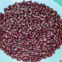 Nyota Beans